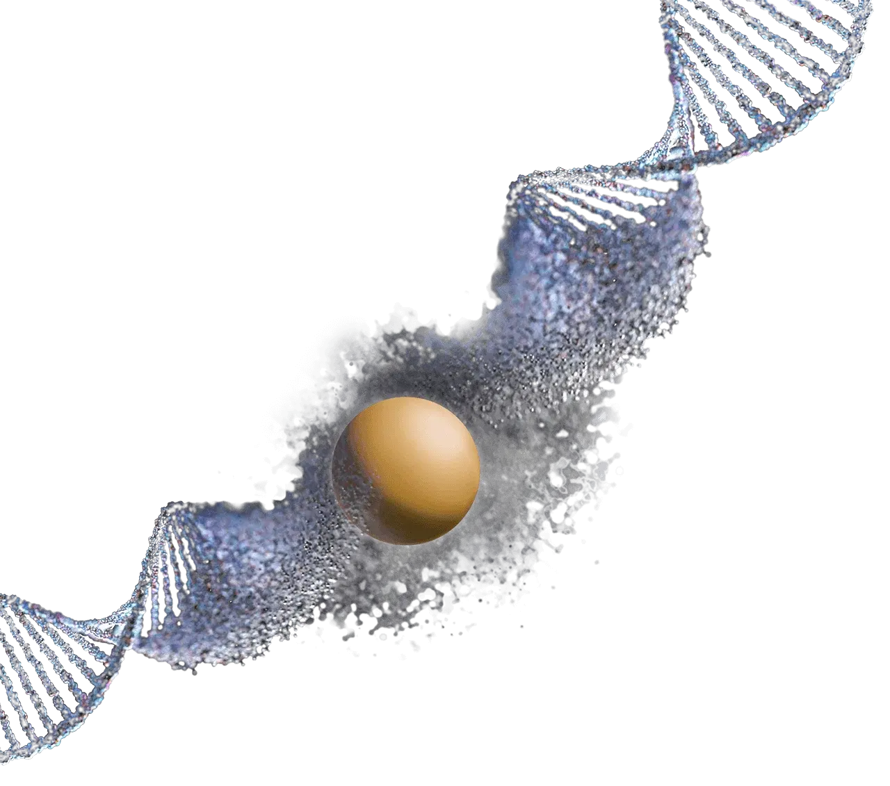 DNA & Sphere